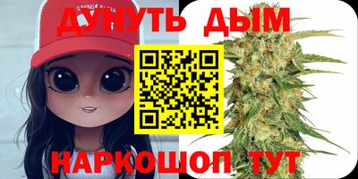 гашиш Новодвинск