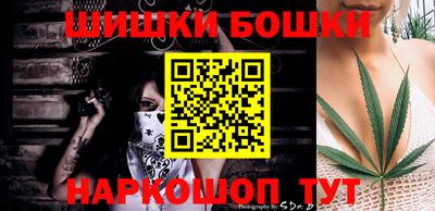 гашик Новокубанск