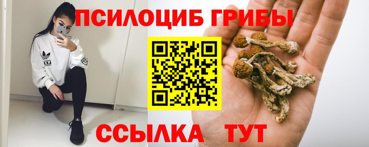 Галлюциногенные грибы MAGIC MUSHROOMS Уварово